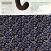 China Printed fabric cotton spandex stretch elasthane poplin shirts fabric manufacturer