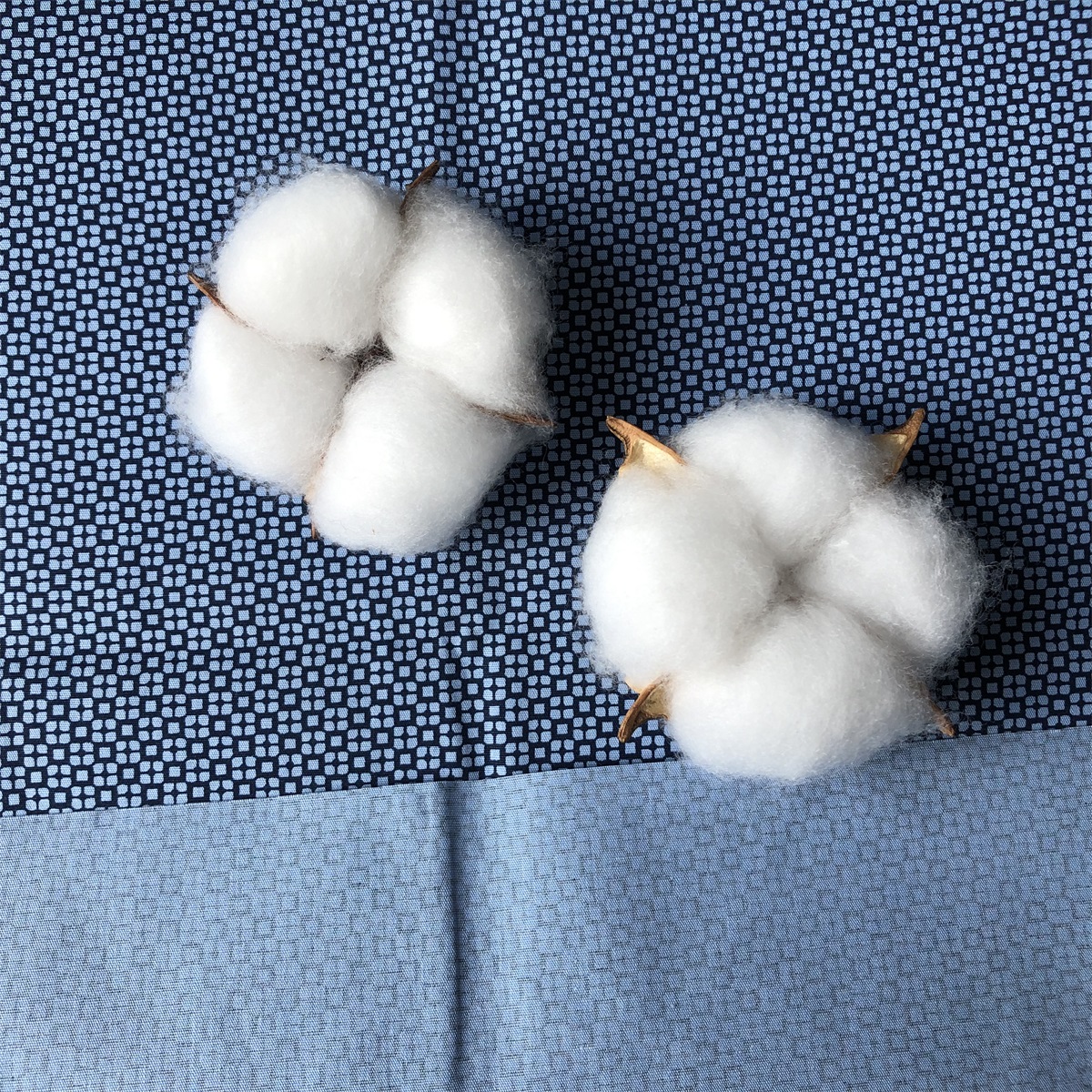 Sun-rising Textile Cotton fabric fashion design soft comfortable 100% cotton poplin printed fabric for men's shirts